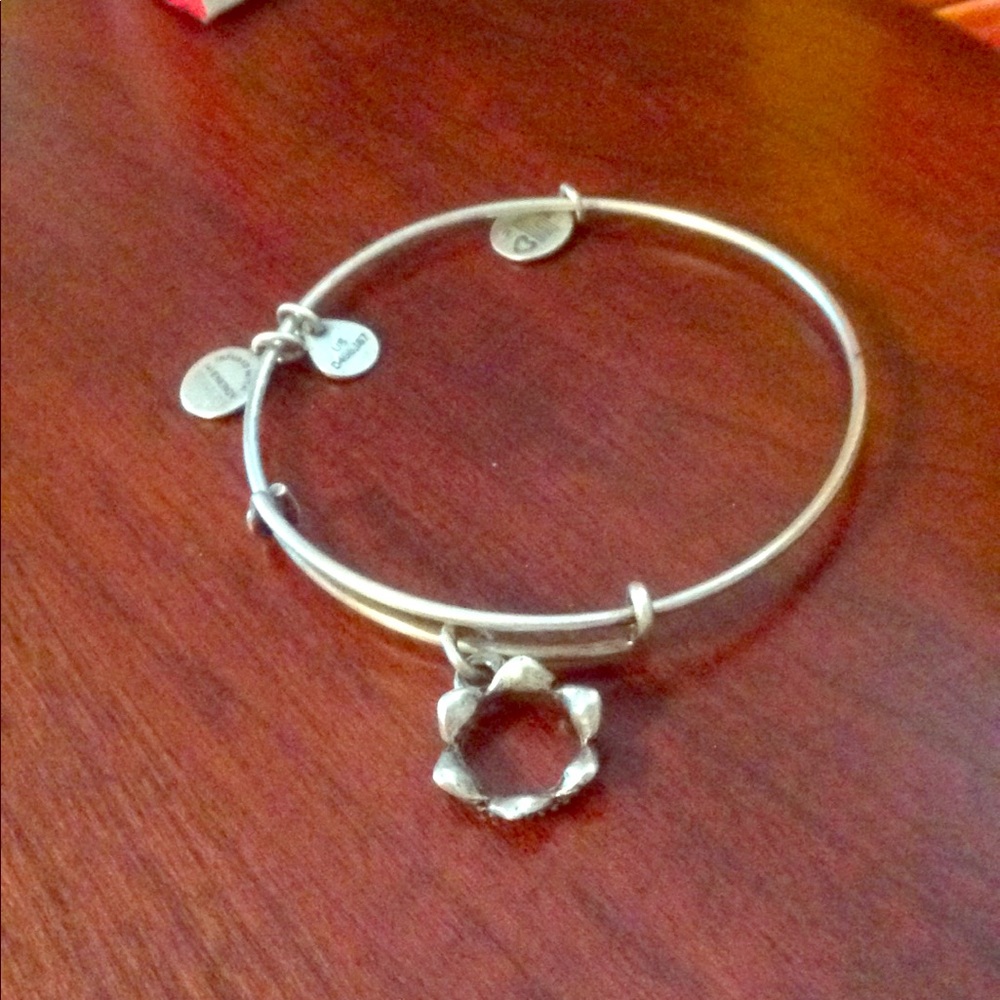 Alex and ani bracket and Stella piccictto